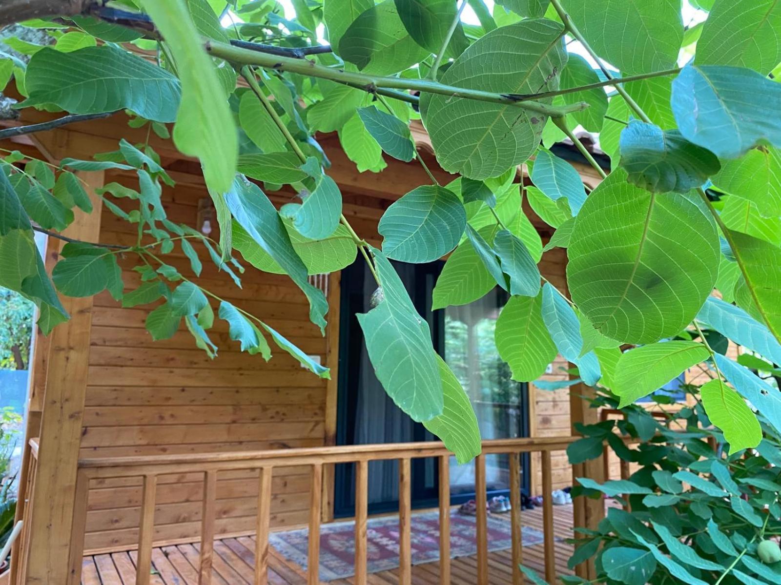 Cabană Canario Çıralı